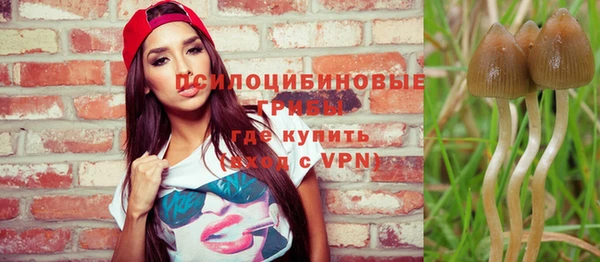 ECSTASY Баксан