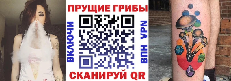 Галлюциногенные грибы Cubensis где купить Печора