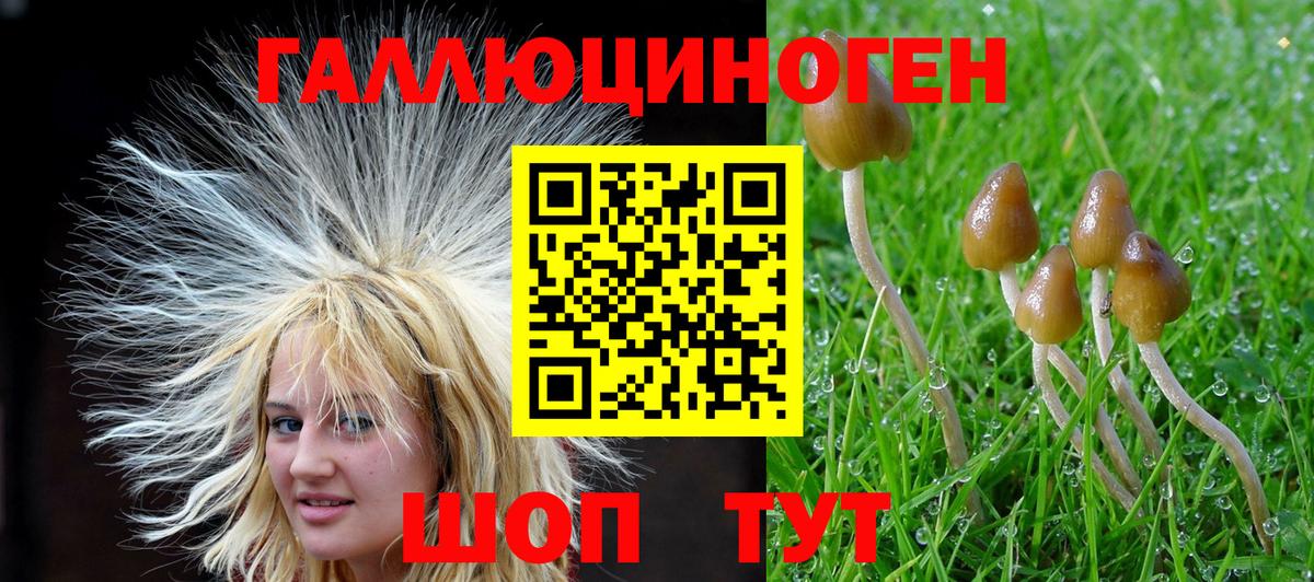 Печора  Галлюциногенные грибы мухоморы  Псилоцибиновые грибы прущие грибы  Вход с VPN 