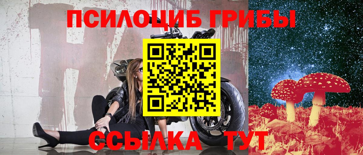 Галлюциногенные грибы Psilocybine cubensis Печора